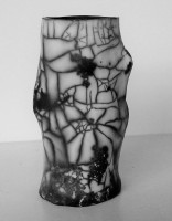 /album/galerie-de-photos-galerie-photos/vase-raku-nu-spider-pot-jpg1/